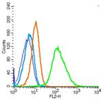 IL-6R Beta/CD130/gp130 Antibody in Flow Cytometry (Flow)