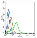 AQP1 Antibody in Flow Cytometry (Flow)