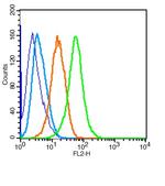 PUMA Antibody in Flow Cytometry (Flow)