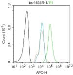 B3GAT1/CD57 Antibody in Flow Cytometry (Flow)