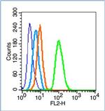 Phospho-FAK (Tyr577) Antibody in Flow Cytometry (Flow)