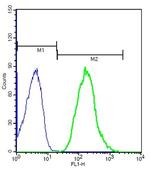 CX3CR1 Antibody in Flow Cytometry (Flow)