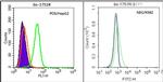 EAAT2 Antibody in Flow Cytometry (Flow)