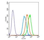 Elastin Antibody in Flow Cytometry (Flow)