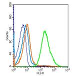 TLR1 Antibody in Flow Cytometry (Flow)