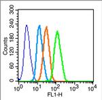 UCP-2 Antibody in Flow Cytometry (Flow)