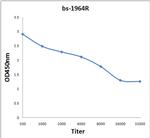 KLK3 Antibody in ELISA (ELISA)