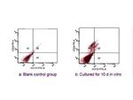 CD34 Antibody in Flow Cytometry (Flow)