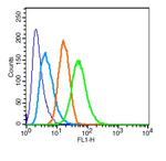 Phospho-GSK3 Alpha/Beta (Tyr279, Tyr216) Antibody in Flow Cytometry (Flow)