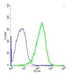 TEM1/CD248 Antibody in Flow Cytometry (Flow)