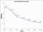 SCYLV Antibody in ELISA (ELISA)