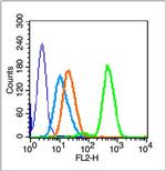 PARP1 Antibody in Flow Cytometry (Flow)