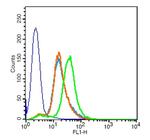 CXCR3/CD183 Antibody in Flow Cytometry (Flow)