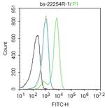 PAX6 Antibody in Flow Cytometry (Flow)