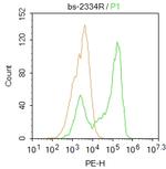 PXR Antibody in Flow Cytometry (Flow)