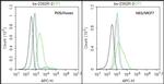 ST2 Antibody in Flow Cytometry (Flow)