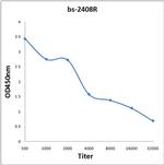 alpha Internexin Antibody in ELISA (ELISA)