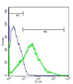 BDKRB2 Antibody in Flow Cytometry (Flow)