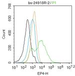 ProsTaglandin E Receptor EP4 Antibody in Flow Cytometry (Flow)