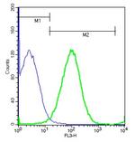 IL-33 Antibody in Flow Cytometry (Flow)