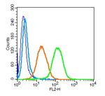 CD112 Antibody in Flow Cytometry (Flow)