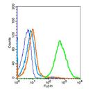 TLR6 Antibody in Flow Cytometry (Flow)