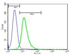 TREM2 Antibody in Flow Cytometry (Flow)