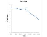 CRLF2 Antibody in ELISA (ELISA)