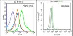 HAS1 Antibody in Flow Cytometry (Flow)