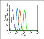 Phospho-EGFR (Tyr845) Antibody in Flow Cytometry (Flow)