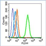 Phospho-FAK (Tyr861) Antibody in Flow Cytometry (Flow)