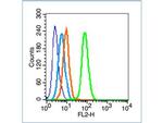 Phospho-FAK (Tyr407) Antibody in Flow Cytometry (Flow)