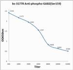 Phospho-GAB2 (Ser159) Antibody in ELISA (ELISA)