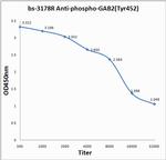 Phospho-GAB2 (Tyr452) Antibody in ELISA (ELISA)