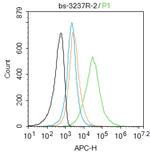 Phospho-IKK alpha/beta (Ser176, Ser180) Antibody in Flow Cytometry (Flow)