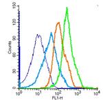 Phospho-mTOR (Ser2481) Antibody in Flow Cytometry (Flow)