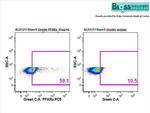 PPAR alpha Antibody in Flow Cytometry (Flow)
