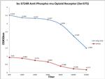Phospho-mu Opioid Receptor (Ser375) Antibody in ELISA (ELISA)