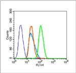 Histone H3 (Di methyl K36) Antibody in Flow Cytometry (Flow)