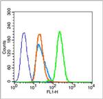 Histone H3 (Di Methyl K4) Antibody in Flow Cytometry (Flow)