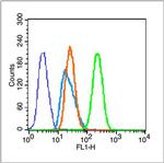 Histone H3 (Di methyl K9) Antibody in Flow Cytometry (Flow)