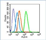 Methyl-Histone H3 (Lys27) Antibody in Flow Cytometry (Flow)