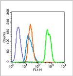 Acetyl-Histone H3 (Lys23) Antibody in Flow Cytometry (Flow)