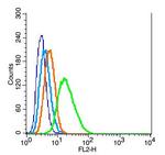 Oct-4BOCT4B-190NT Antibody in Flow Cytometry (Flow)