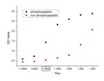 Phospho-HMGCR (Ser872) Antibody in ELISA (ELISA)