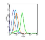 ZEB1/2 Antibody in Flow Cytometry (Flow)