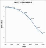 VEGF-A Antibody in ELISA (ELISA)