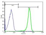 AQP2 Antibody in Flow Cytometry (Flow)