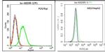 CD45 Antibody in Flow Cytometry (Flow)