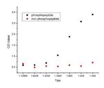 Phospho-PPAR Gamma (Ser273) Antibody in ELISA (ELISA)